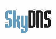 Логотип SkyDNS